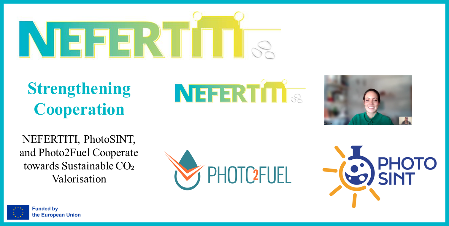 1NEFERTIT-PHOTOSINT-PHOTO2FUEL Meeting- photo