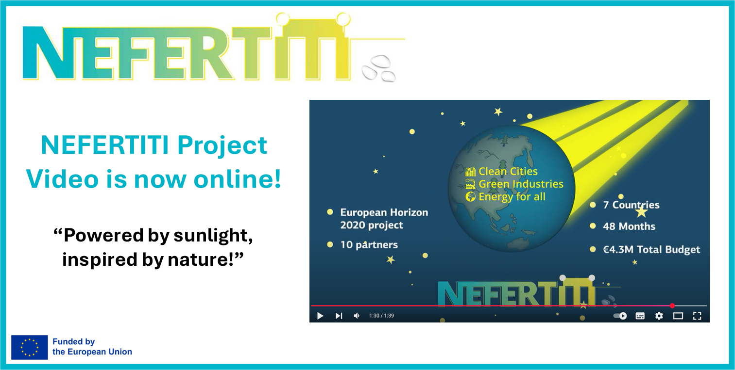 NEFERTITI Video- photo web